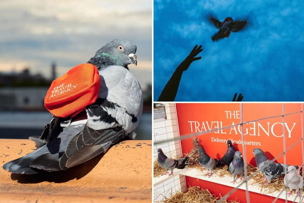 NYC weed dispensary pledges ‘courier pigeon’ delivery service – and the twist is ruffling feathers