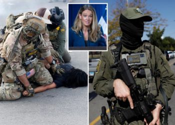‘Dangerous’ instances of doxxing, assaults against ICE agents soar as DHS tries to tamp down violent rhetoric