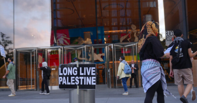 Dem Influencer Who Called Trump ‘Dementia-Addled’ Cheers Violent Rioters at BlackRock