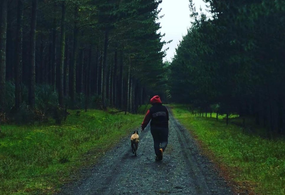 The writer's partner walking their dog through the woods in New Zealand.