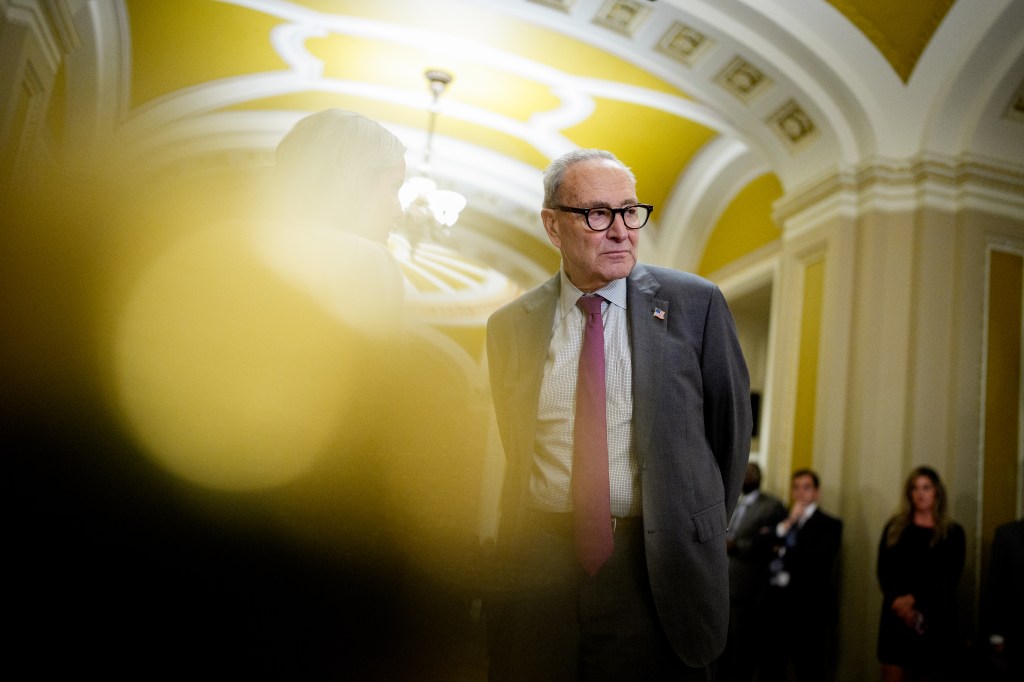 Senate Minority Leader Chuck Schumer at a news conference on Capitol Hill.