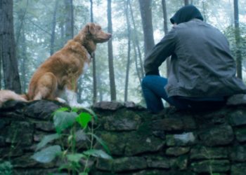 Toss That ‘Good Boy’ A Bone As IFC Thriller Sits, Stays In Top 10 – Specialty Box Office