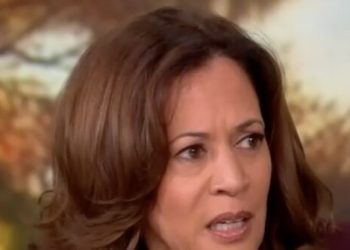 Kamala Harris: ‘Petty’ Trump Committing ‘Frontal Attack’ on Rule of Law