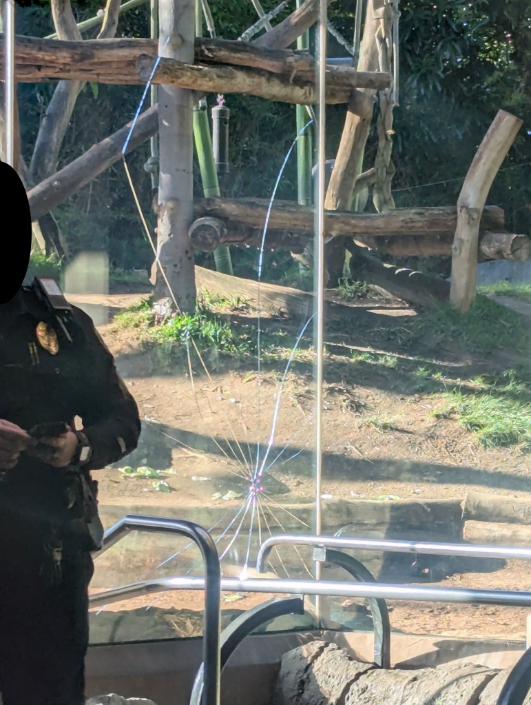 Shattered glass barrier at the San Diego Zoo.