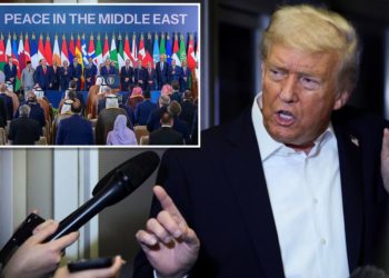 Trump says ‘we’ll have to see’ on one-state or two-state solution for Gaza: ‘At some point I’ll decide’