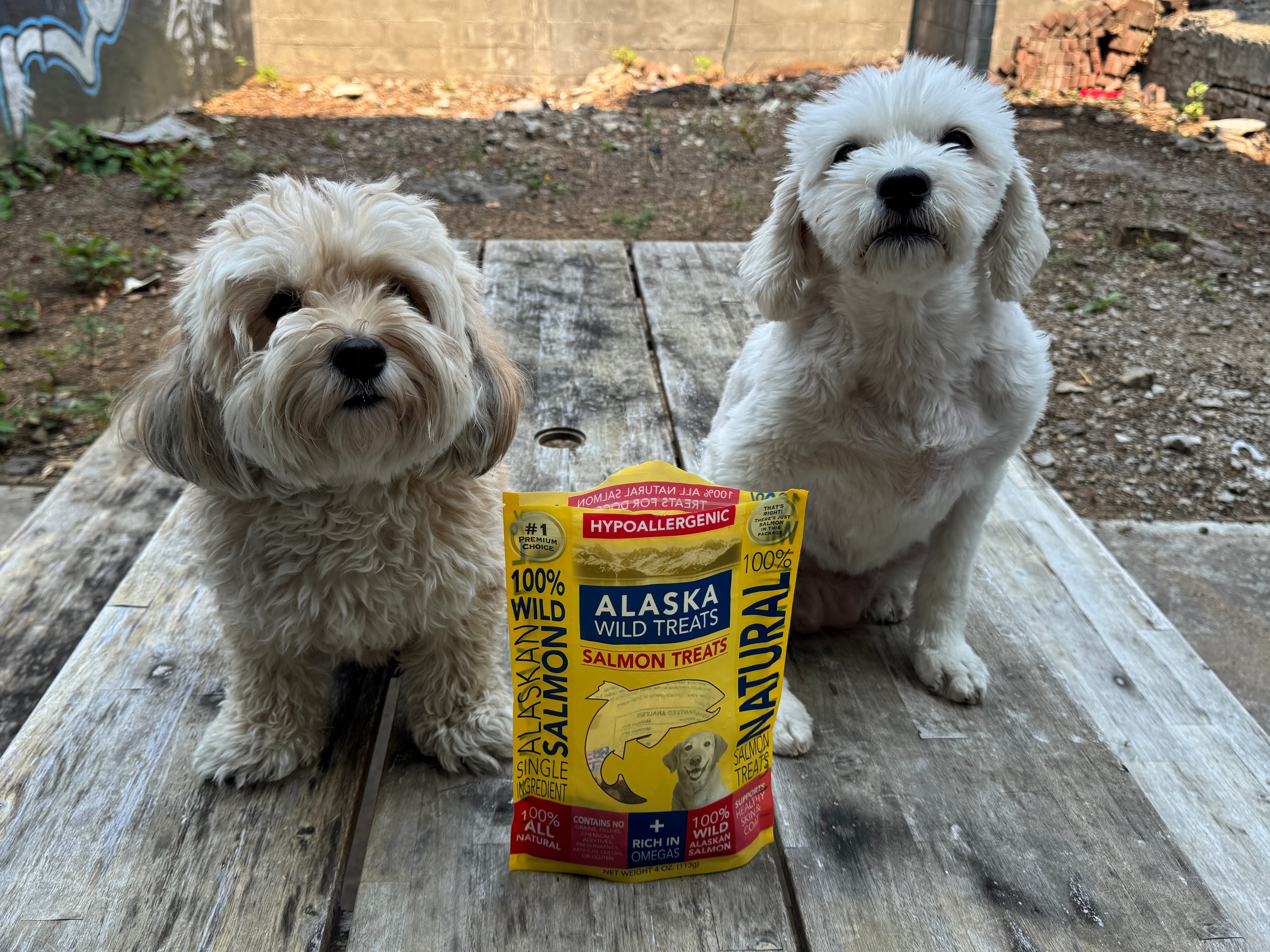 The author's dogs posing with a bag of Alaska Wild Treats salmon treats.