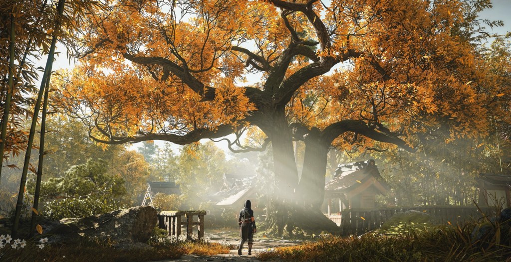 Assassin's Creed Shadows Switch 2 Port