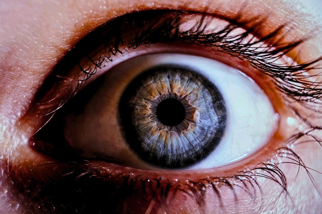 to-study-our-pupils-as-we-sleep-researchers-forced-people-to-sleep-with-one-eye-open