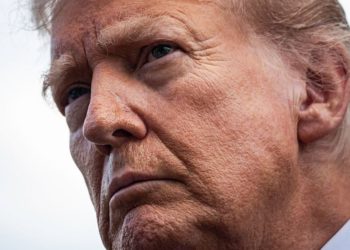 The U.S. Is in a ‘Particularly Authoritarian’ Moment