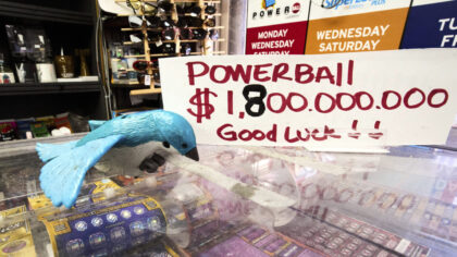 12 Arizona tickets win at least $50K during Powerball drawing with near-record jackpot