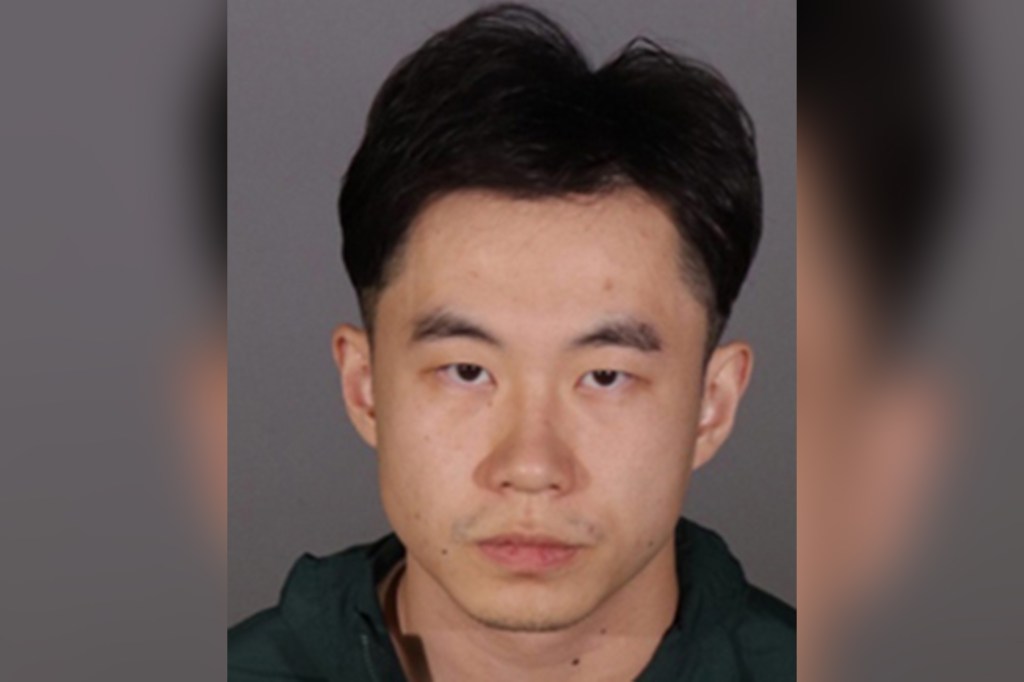 Mugshot of Sizhe Weng (Steven Weng).