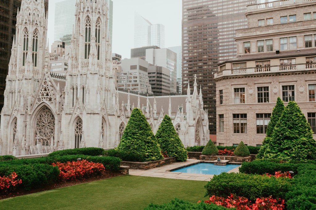 Rooftop garden with a pool and topiary trees, with a Gothic cathedral and skyscrapers in the background.