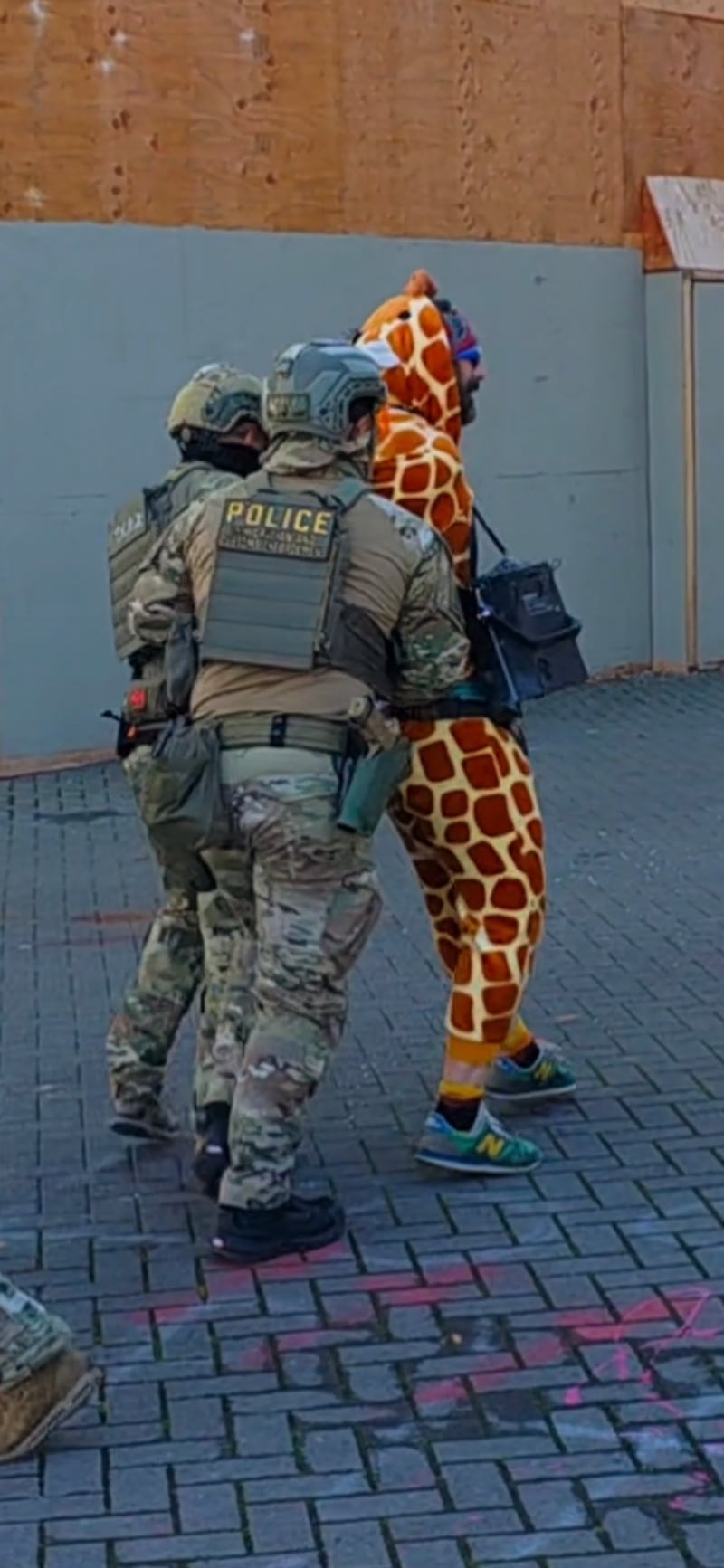 Robby Roadsteamer being arrested and led into the Portland ICE facility, after he was shot by officers.