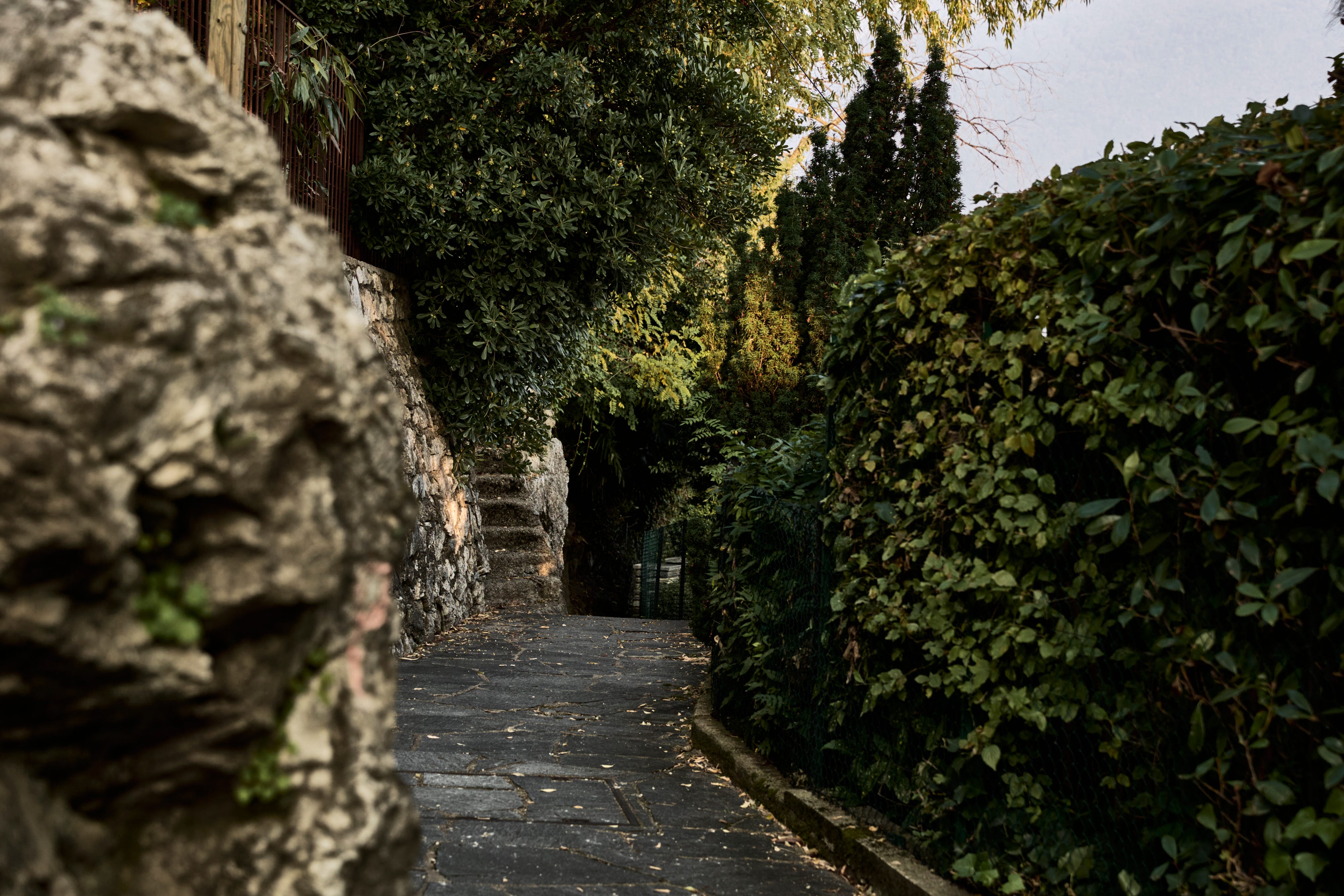 Sentiero dell'olivo, castagnola, lugano, lake lugano, olive trail.