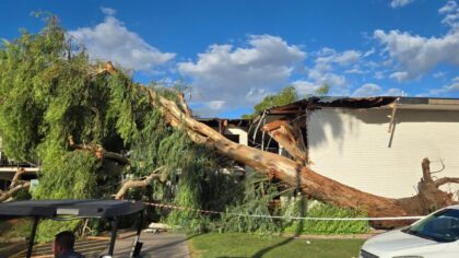 Tempe mayor calls Monday microburst the worst storm he's seen in over 22 years