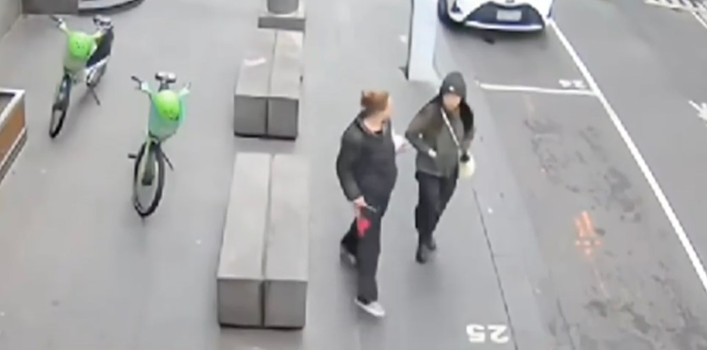 The assailant allegedly tapped Lai on the back before stabbing her in the chest.