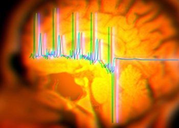Your Brain Has Its Own Heartbeat—and It Might Show How Fast You’re Aging