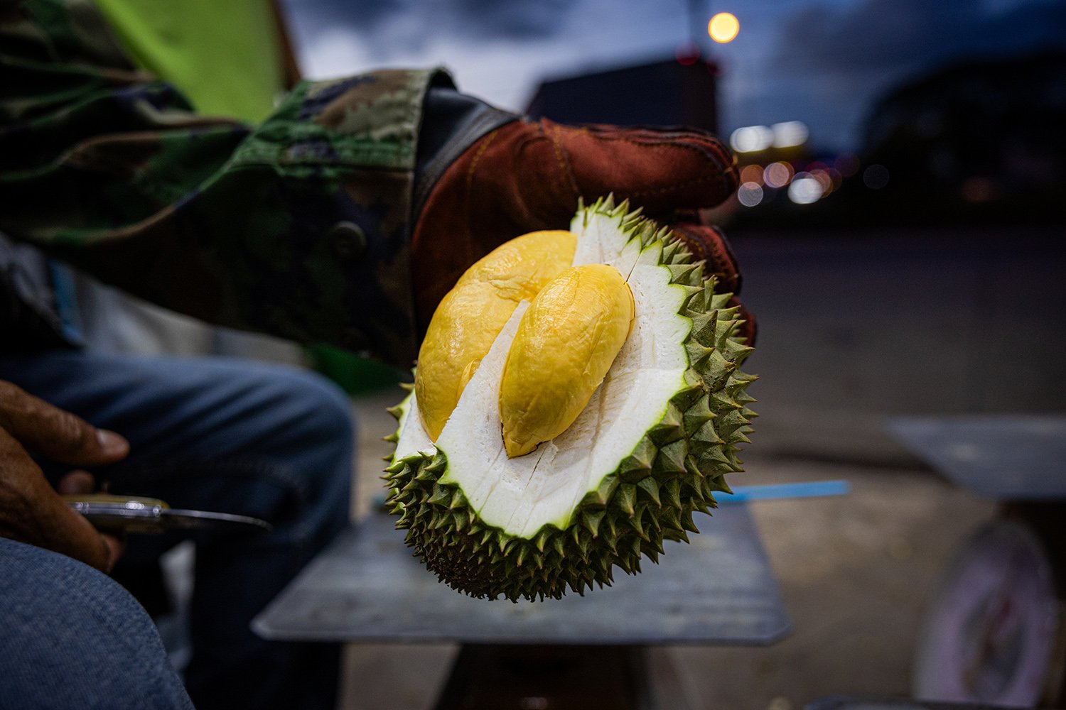 A gloved hand holds up a spiky opened durian fruit.