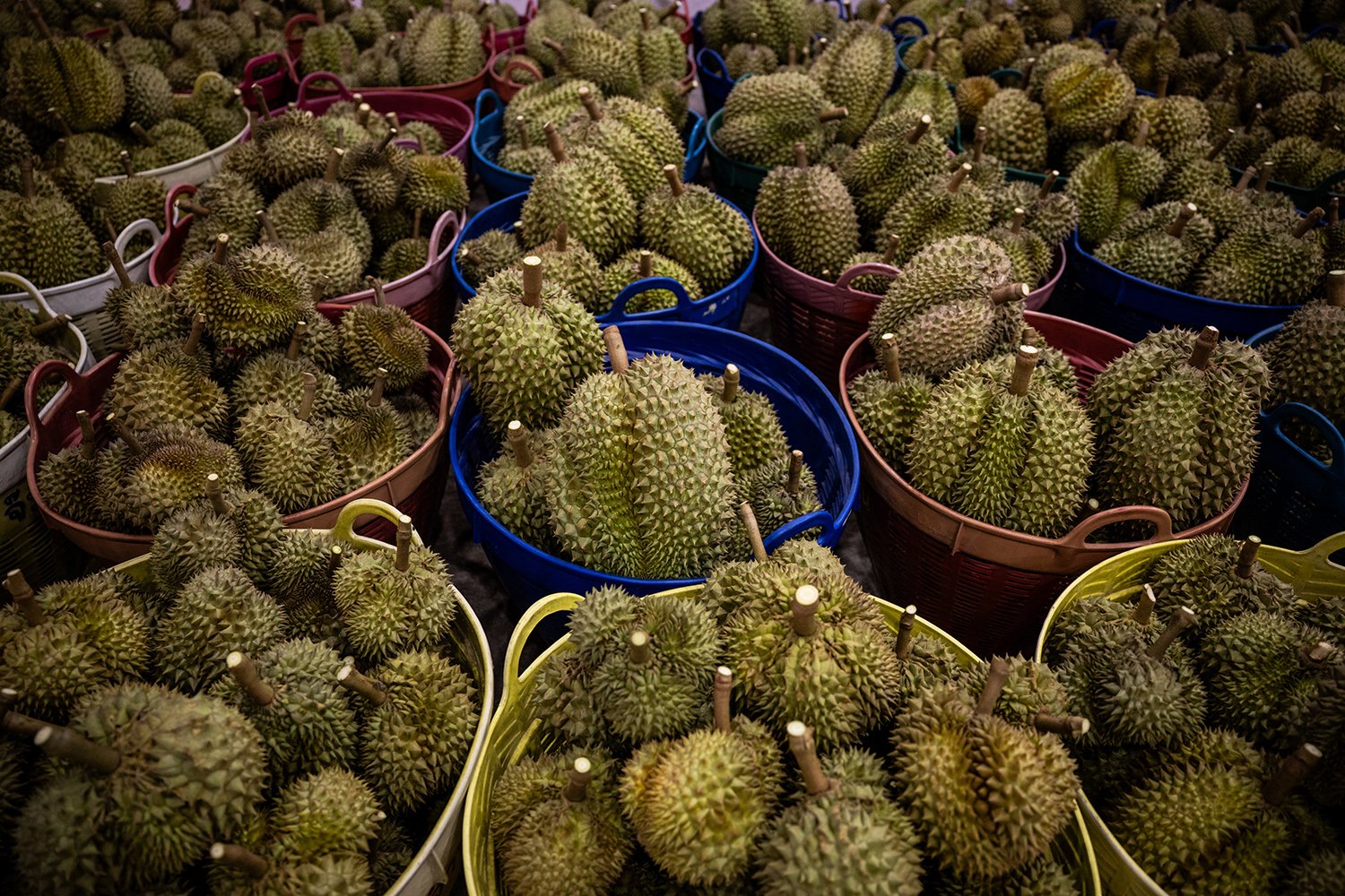 Baskets full of durian.
