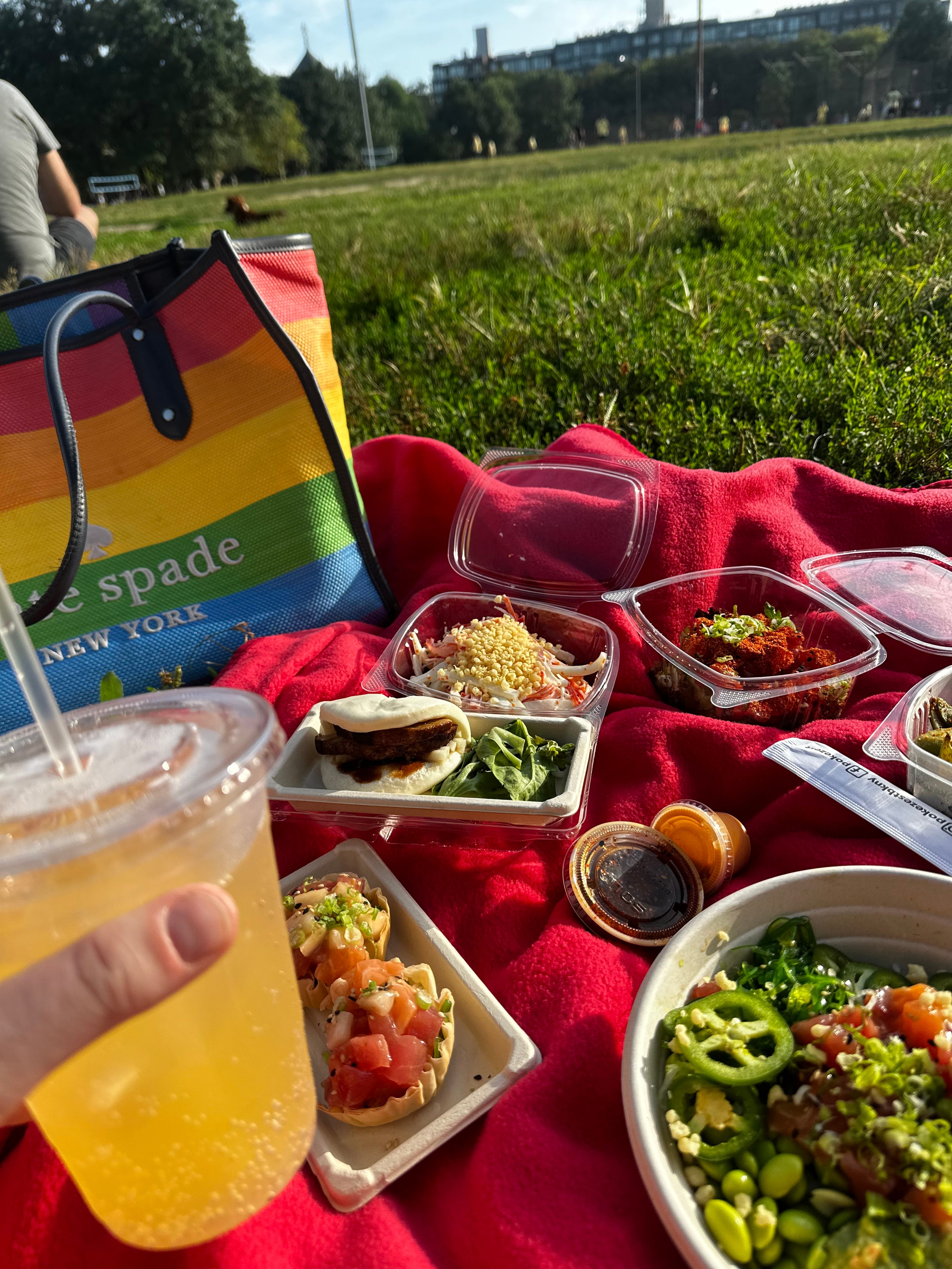 A picnic on a blanket in a park in New York.