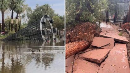 Phoenix Zoo reopens after 3-day closure due to storm damage