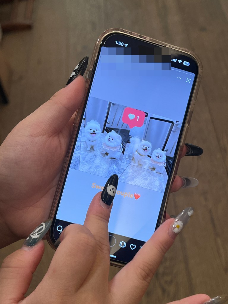 A hand scrolling through social media on a phone, displaying an image of dogs available for purchase through a Facebook page.