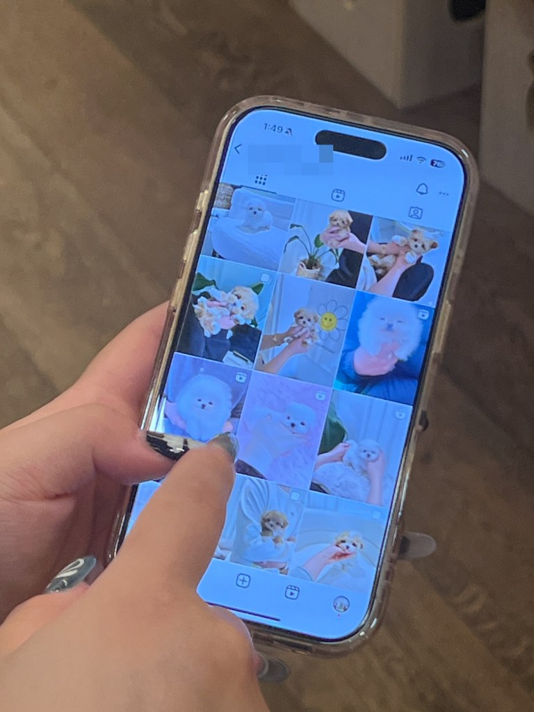 A person scrolls through a Facebook page on a smartphone showing different puppies available for purchase from Kimoni Pet.