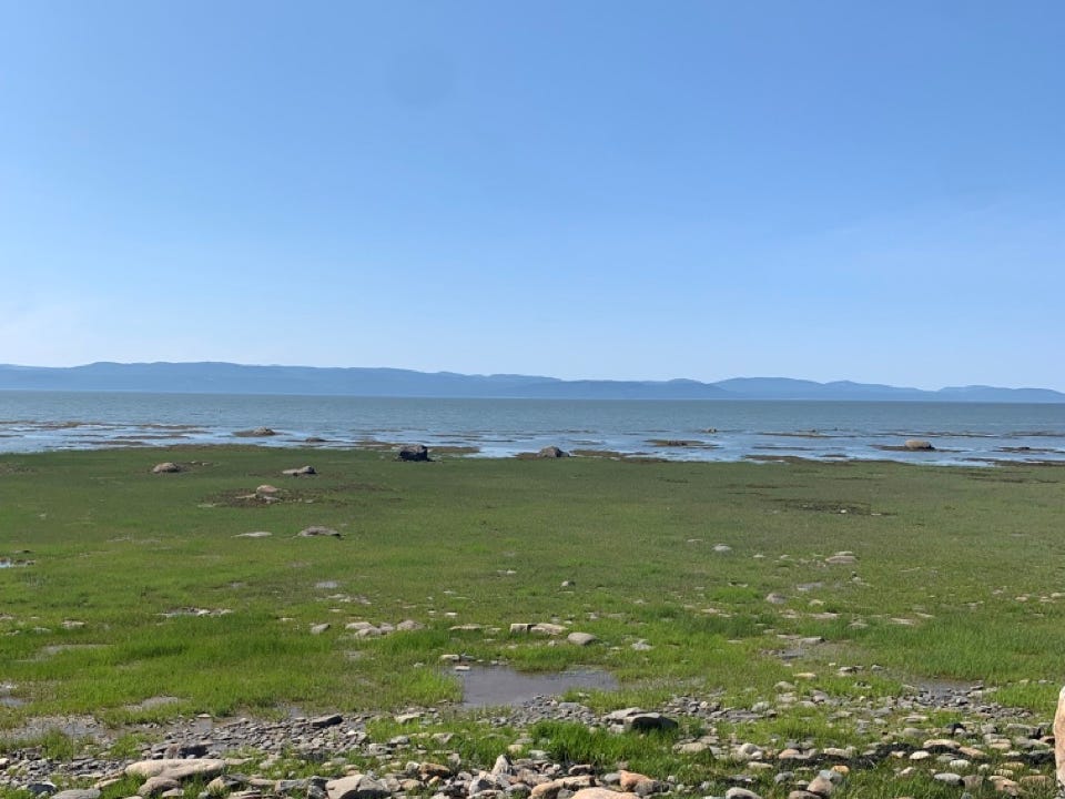 Stones, grass in front of water