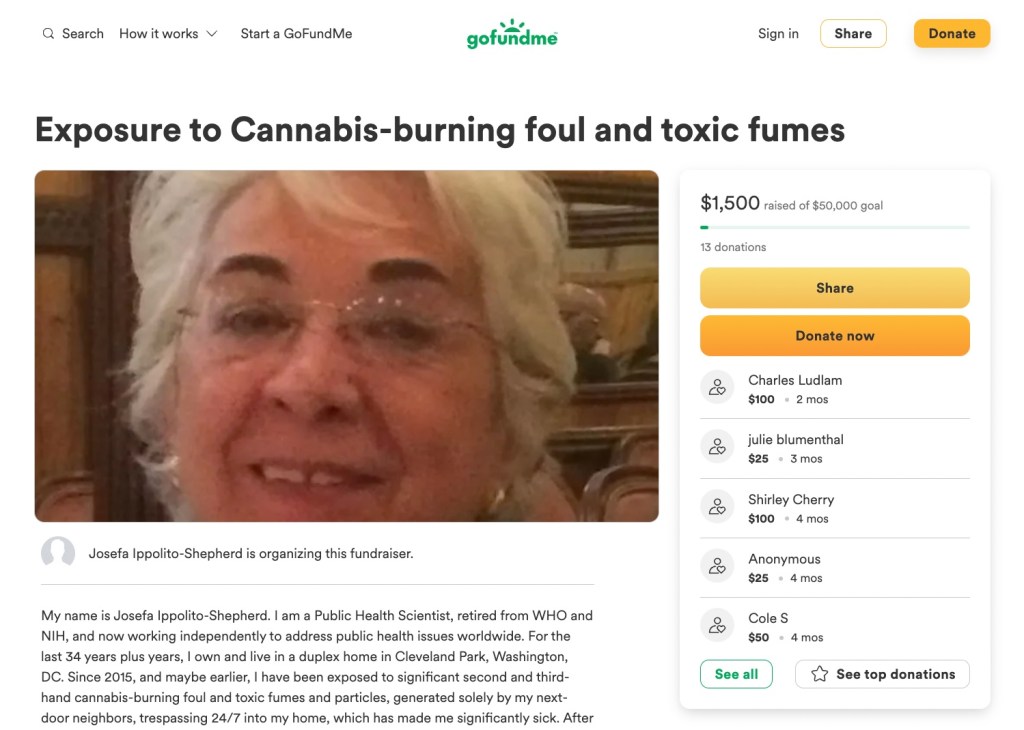 screengrab of the GoFundMe page