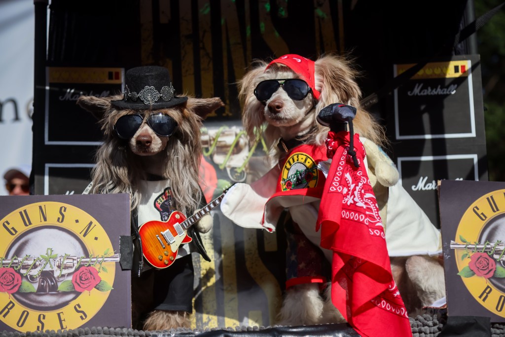 Two dogs dressed as Guns N' Roses rock stars at the Tompkins Square Annual Dog Parade.