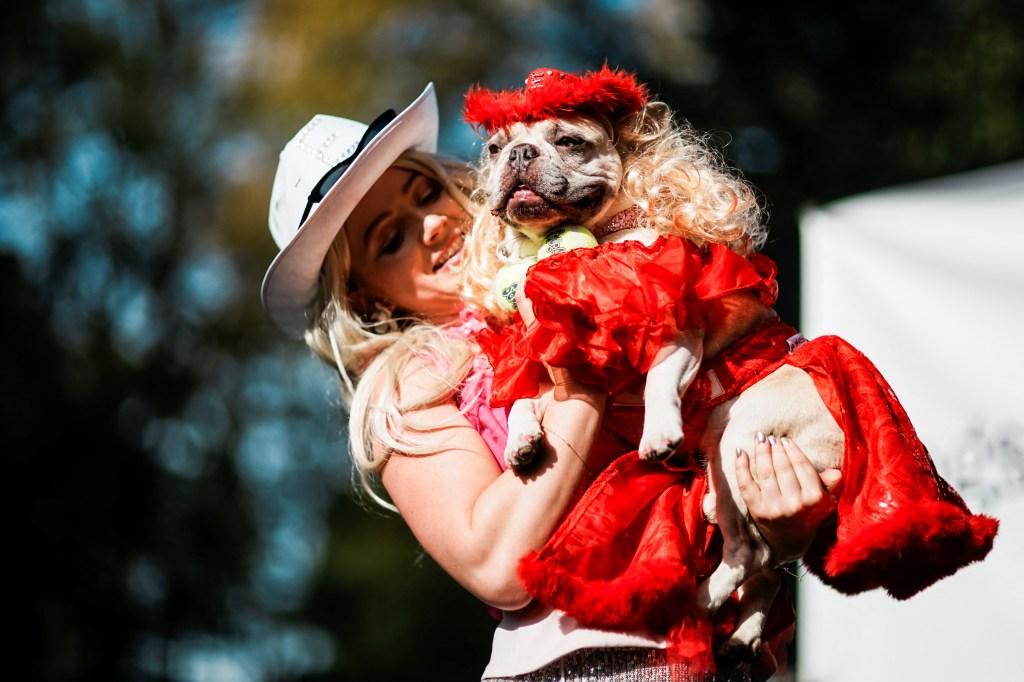 A woman in a white hat holds a French bulldog dressed in a red costume with a blonde wig and a feathered hat.