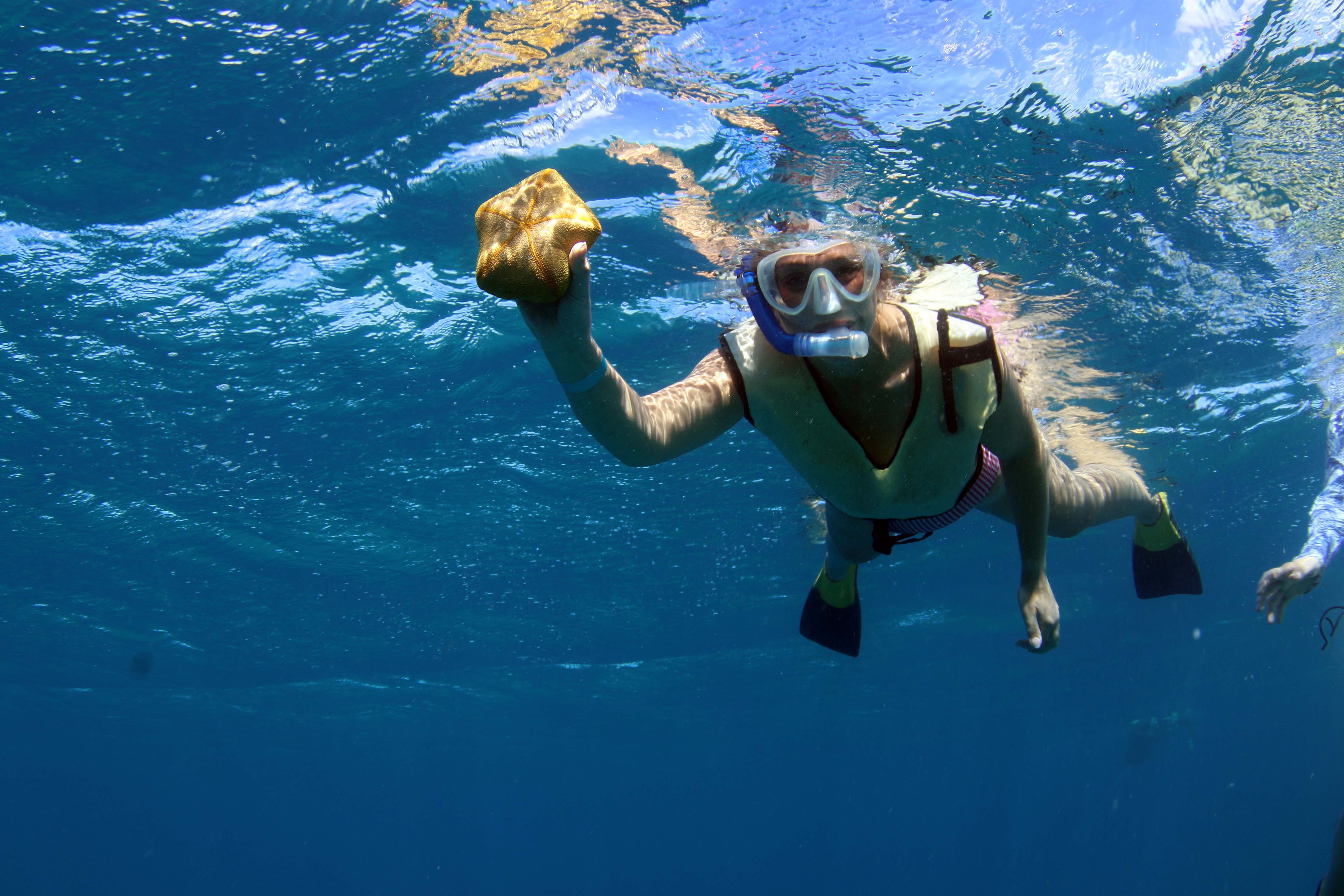 Terri Peters is snorkeling in Oahu.