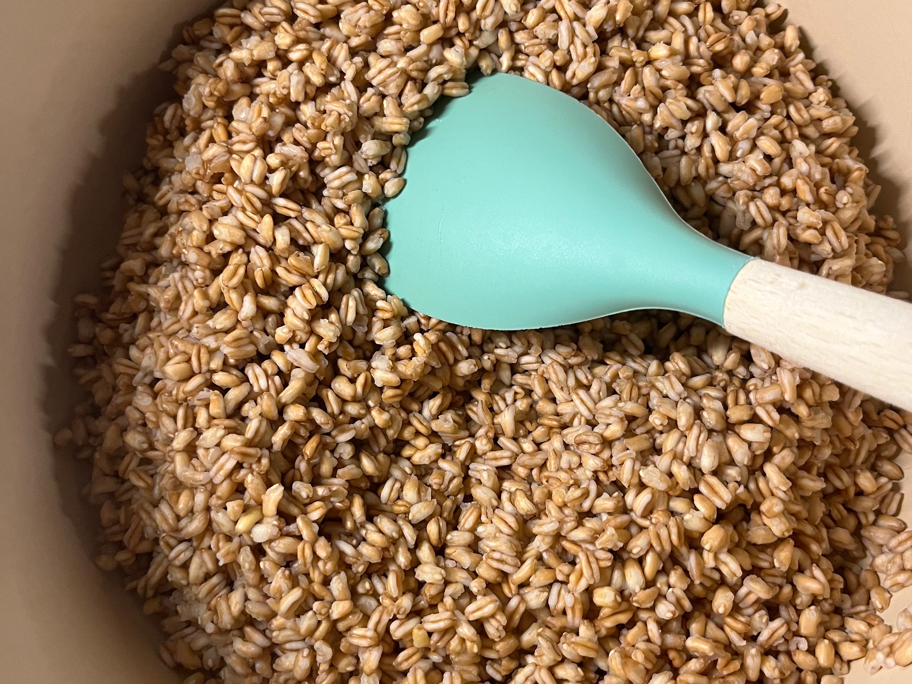 Farro