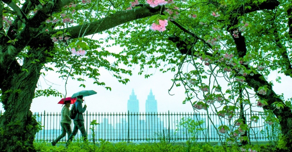 Struck by Lightning in Central Park, This NYC Teen Somehow Walked Away