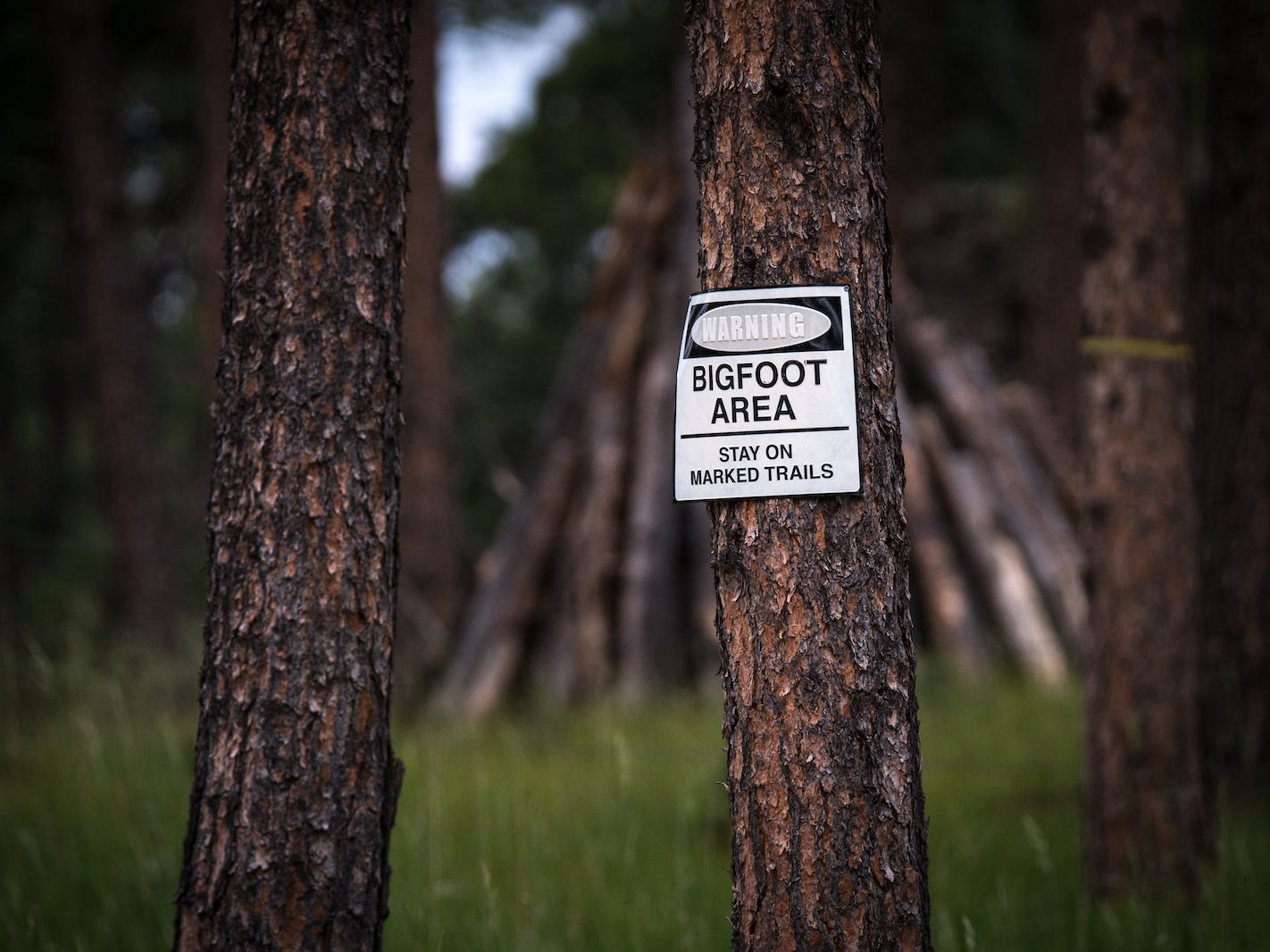 bigfoot