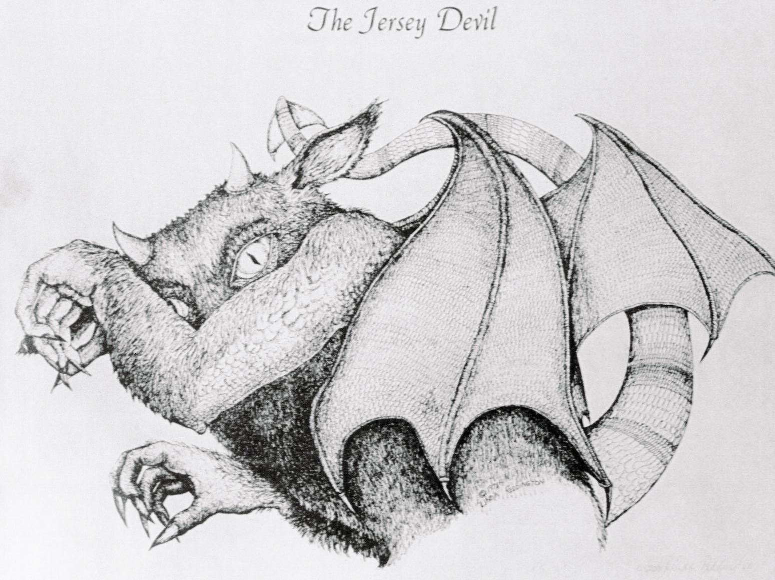 jersey devil