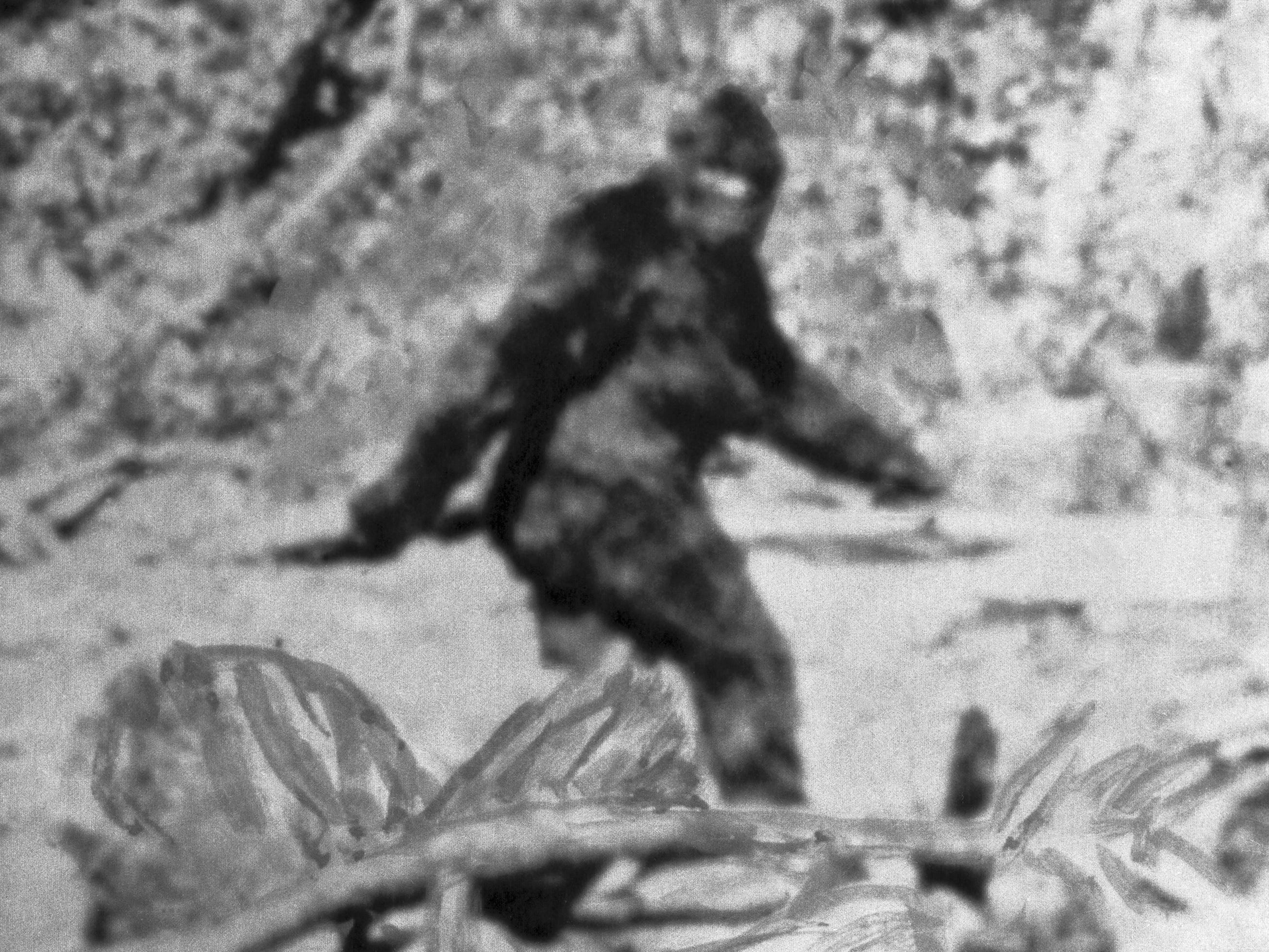 bigfoot