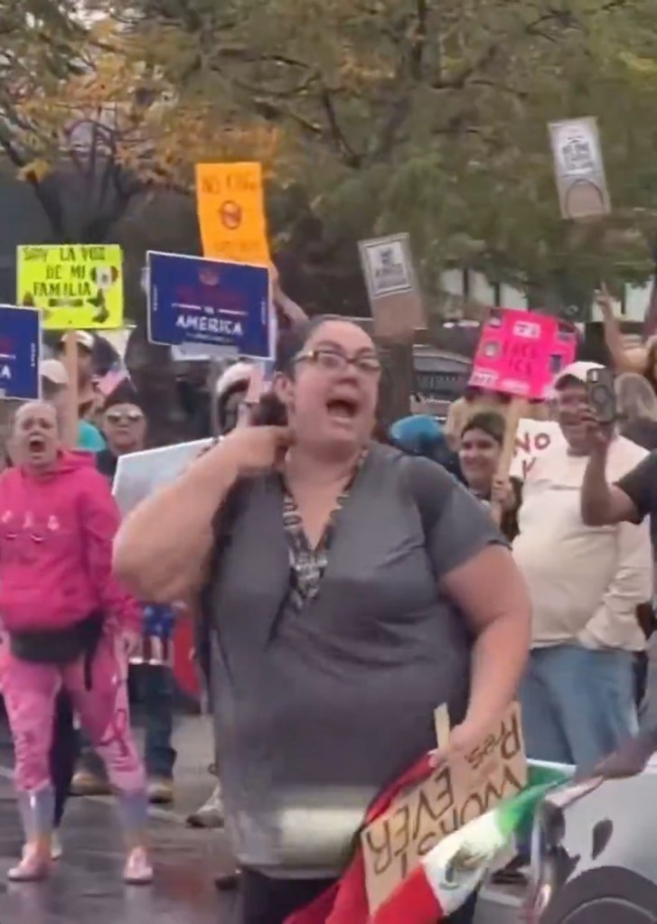 Lucy Martinez, a teacher at Nathan Hale Elementary School in Chicago, was filmed mocking Charlie Kirk's assassination during a No Kings protest over the weekend.