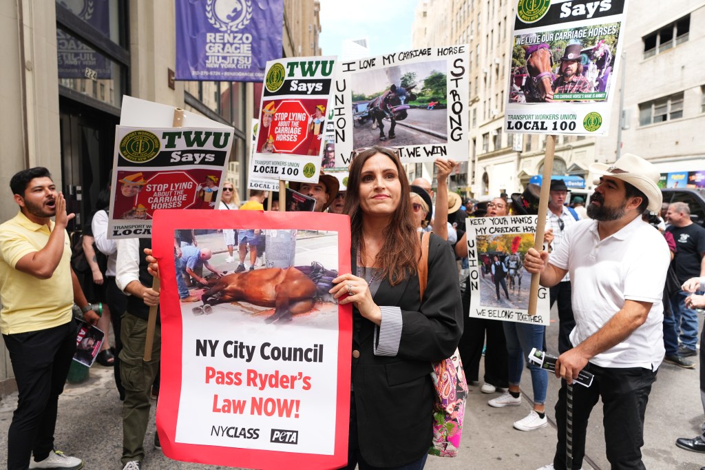 People rally with signs for and against Central Park carriage horses.