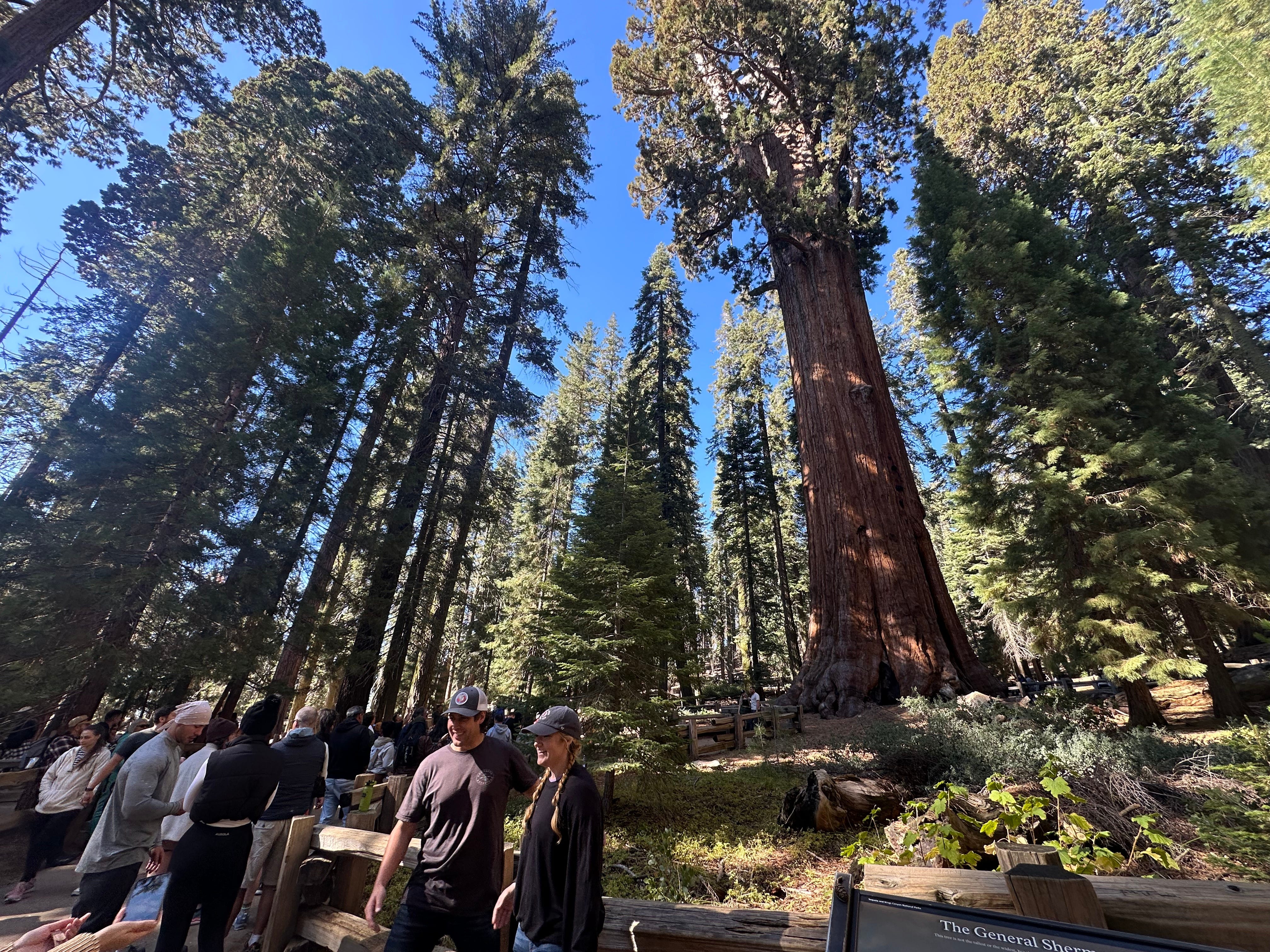 Tourists at Kings Canyon.