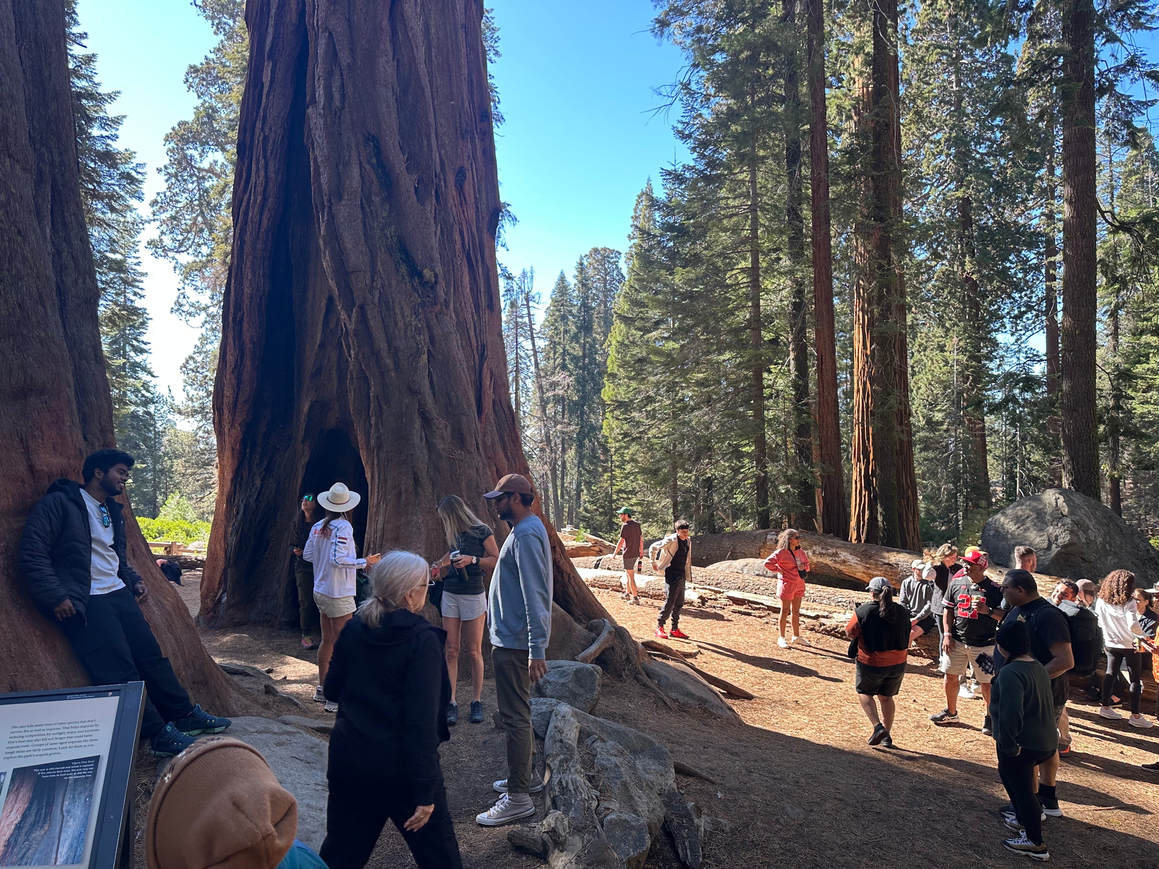 National park visitors.