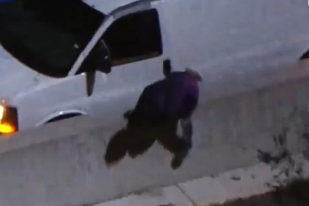 The man jumped out the moving car and hopped over a barrier before he was struck by a car.