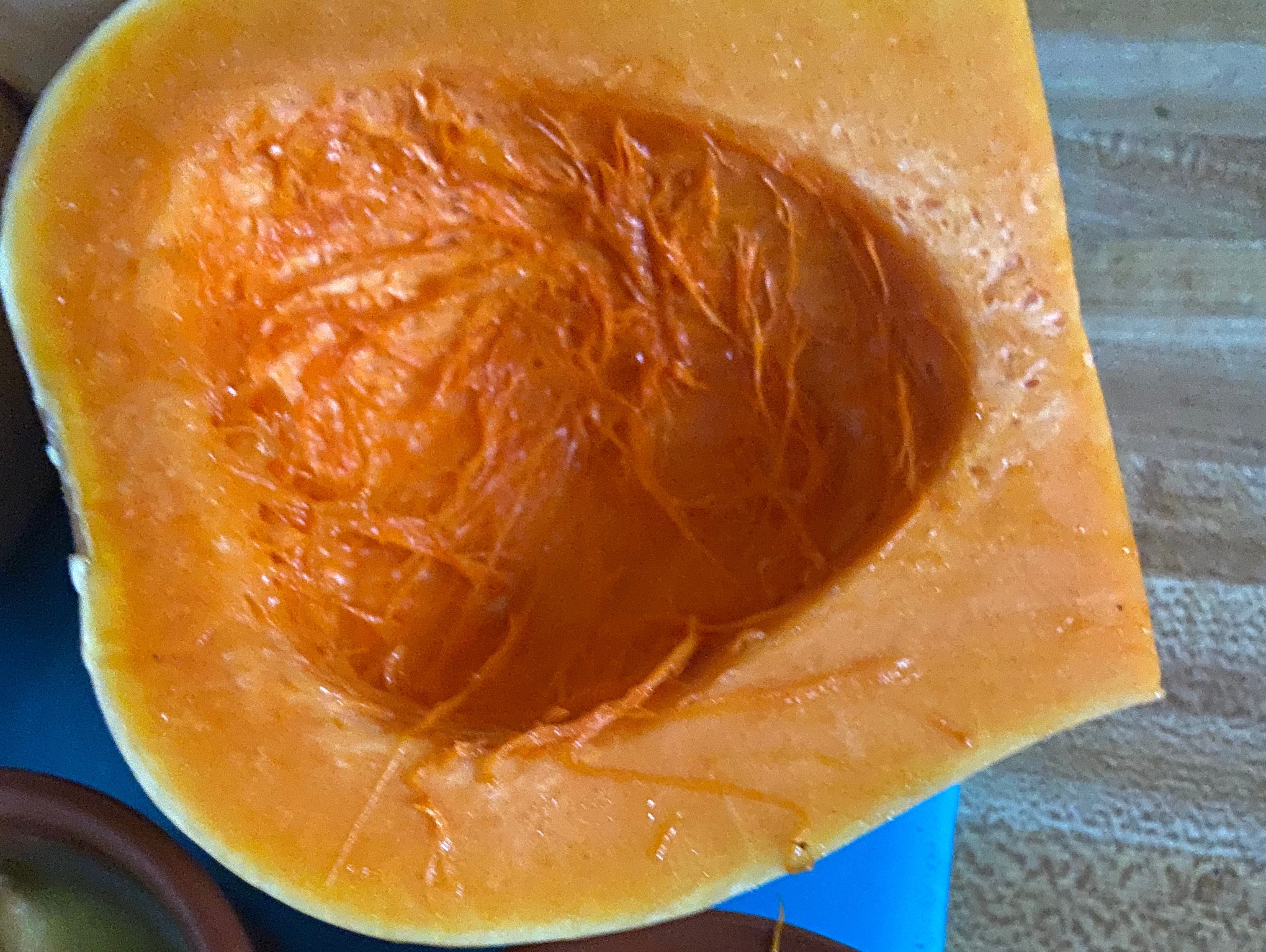 A piece of squash with seeds scooped out