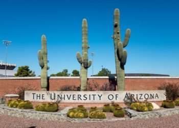 The Seven Colleges That Rejected Trump’s ‘Compact,’ and Two Still Weighing the Proposal