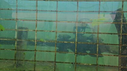 Here's how underwater welding is becoming a more accessible trade for Arizonans