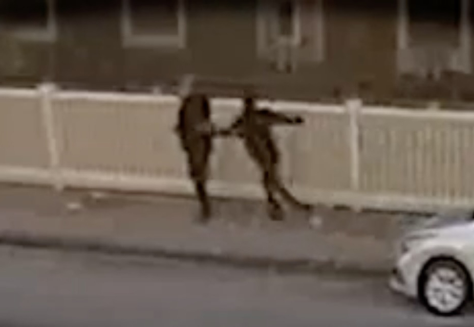 Surveillance video of a suspect attacking Fall River Mayor Will Flanagan.