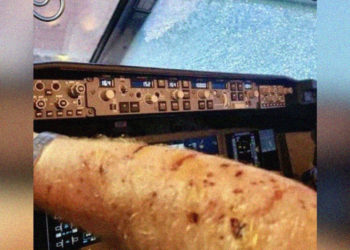 Pilot Injured After Mystery Object From ‘Space’ Smashes Into Commercial Plane