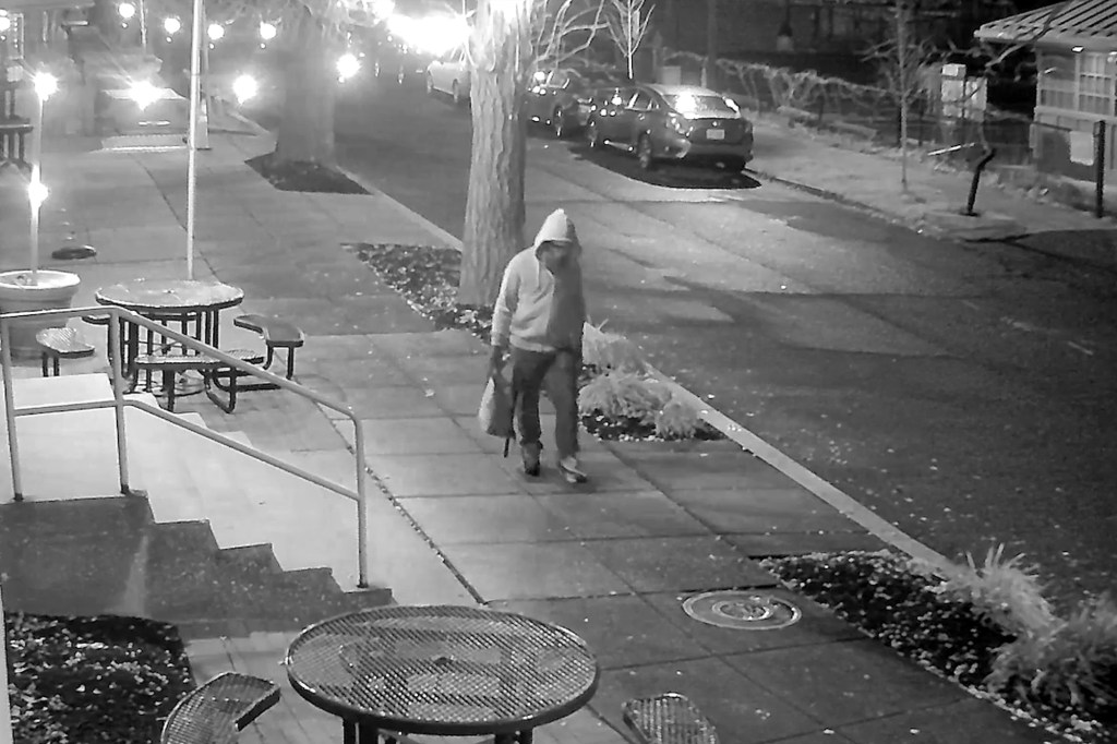 The new footage traces the suspect’s movements on the night before the Capitol riot, showing the individual carrying a backpack and planting bombs outside both party headquarters between 7:30 and 8:30 p.m. before disappearing from view in Washington, DC.