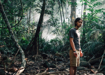 ‘Last Days’ Review: Eyeing a Forbidden Island