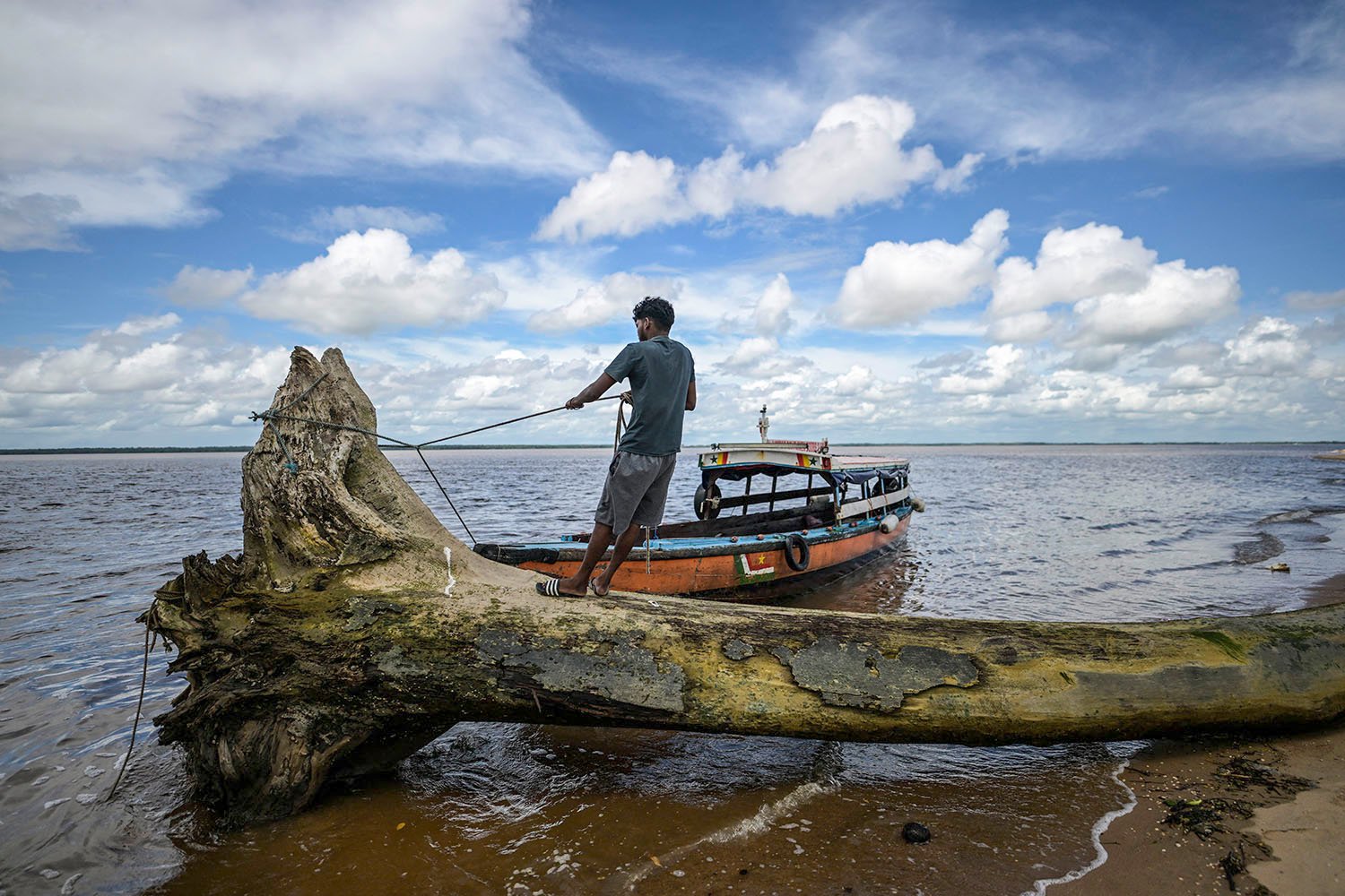 A fisherman uses ropes to pull on a fallen tree in the ocean with a boat behind him.